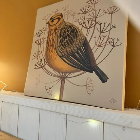Ma A Oiseaux Guest house *